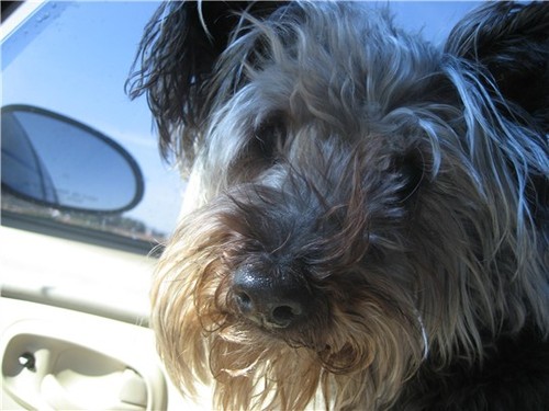 Find Judy H Dedonato Phone Number, Location, Email, and more on Intelius
