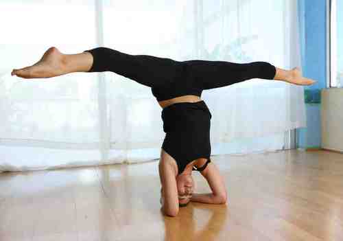 Find Julia Brett Avidane Phone Number, Location, Email, and more on Intelius