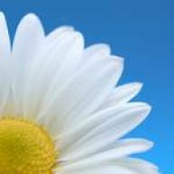 Find Julia M Wolfe Phone Number, Location, Email, and more on Intelius