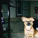 Find Julie Lynn Keel Phone Number, Location, Email, and more on Intelius