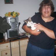 Find Julie Kienke Phone Number, Location, Email, and more on Intelius