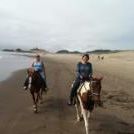 Find Julie Yarborough Mclaughlin Phone Number, Location, Email, and more on Intelius