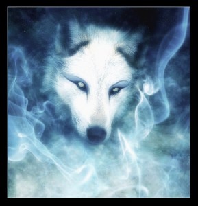 Find Julie Wolf Phone Number, Location, Email, and more on Intelius