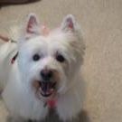 Find Karen Lynn Bailey Phone Number, Location, Email, and more on Intelius