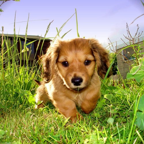 Find Karen Louise Goldstein Phone Number, Location, Email, and more on Intelius