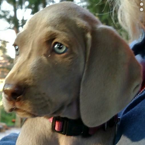 Find Karen Maria Sasse Phone Number, Location, Email, and more on Intelius