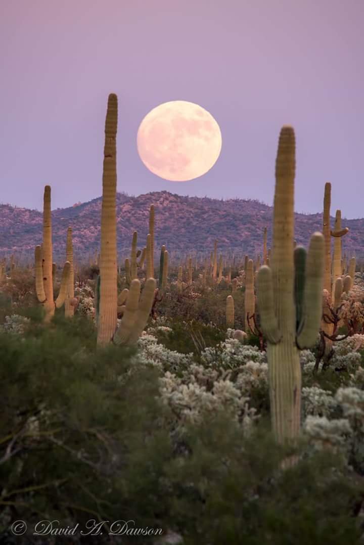 Find Karen Marie Stone Phone Number, Location, Email, and more on Intelius