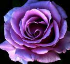 Find Karin F Kemp Phone Number, Location, Email, and more on Intelius