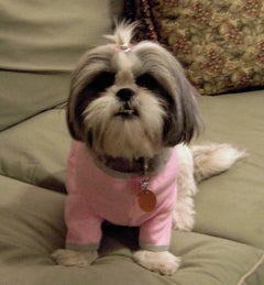 Find Karin D Oshea Phone Number, Location, Email, and more on Intelius