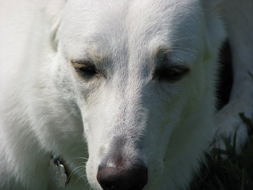 Find Karin Agnes Sack Phone Number, Location, Email, and more on Intelius