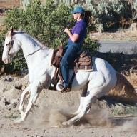 Find Karyn Lea Shirley Phone Number, Location, Email, and more on Intelius