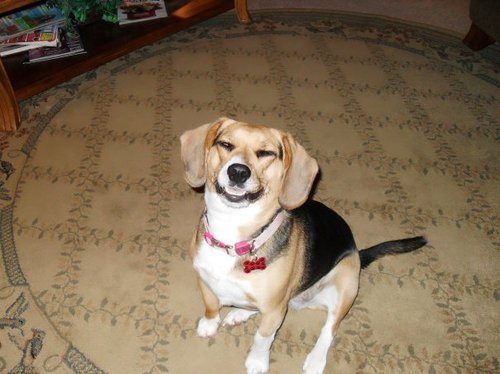Find Katherine D Gramby Phone Number, Location, Email, and more on Intelius