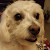 Find Kathi Ann Turner Phone Number, Location, Email, and more on Intelius
