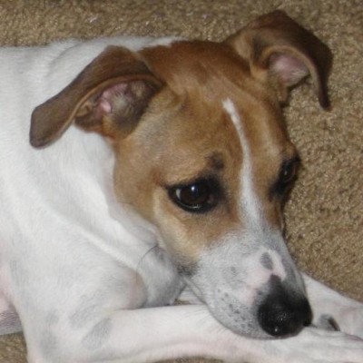 Find Kathryn A Novak Phone Number, Location, Email, and more on Intelius