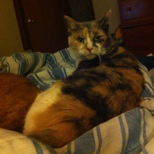Find Kathryn Michelle Wesley Phone Number, Location, Email, and more on Intelius