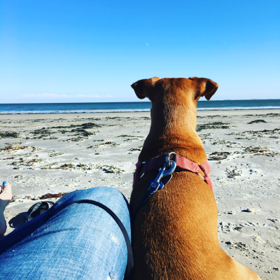 Find Kathy Marie Beebe Phone Number, Location, Email, and more on Intelius
