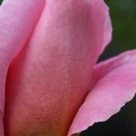 Find Kathy Ann Johnson Phone Number, Location, Email, and more on Intelius