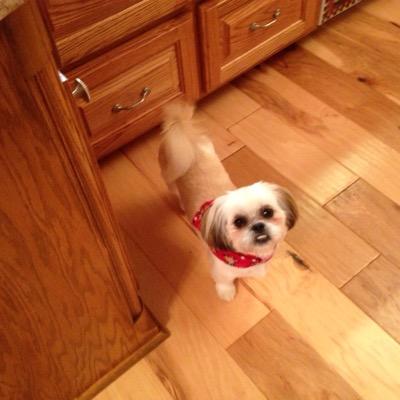 Find Kathy J Kee Phone Number, Location, Email, and more on Intelius