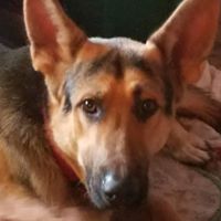 Find Kathy Ester Sams Phone Number, Location, Email, and more on Intelius
