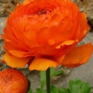 Find Kathy Cash Thomas Phone Number, Location, Email, and more on Intelius