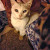 Find Kathy Sue Weimer Phone Number, Location, Email, and more on Intelius