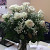 Find Katrina Rose Johnson Phone Number, Location, Email, and more on Intelius