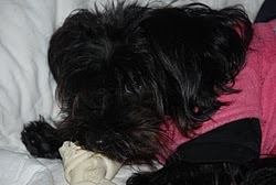 Find Kelley Anne Harper Phone Number, Location, Email, and more on Intelius