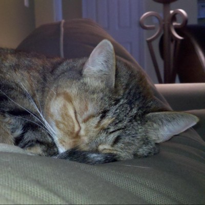 Find Kelly Sue Ford Phone Number, Location, Email, and more on Intelius