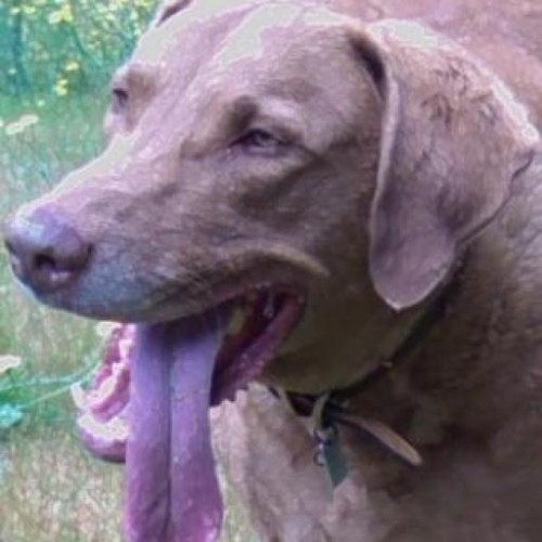 Find Kenneth Charles Kruse Phone Number, Location, Email, and more on Intelius