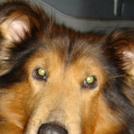 Find Kenneth L Mitchell Phone Number, Location, Email, and more on Intelius