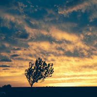 Find Kenneth Richard Warner Phone Number, Location, Email, and more on Intelius