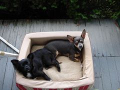 Find Kerri M Brown Phone Number, Location, Email, and more on Intelius