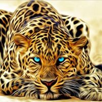 Find Khadijah A Scott Phone Number, Location, Email, and more on Intelius