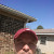 Find Khaled R Deeb Phone Number, Location, Email, and more on Intelius