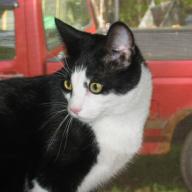 Find Kim C Garro Phone Number, Location, Email, and more on Intelius