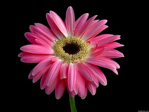 Find Kim C Leinonen Phone Number, Location, Email, and more on Intelius