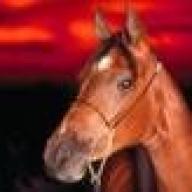 Find Kim Ann Sieck Phone Number, Location, Email, and more on Intelius