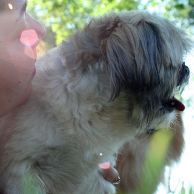 Find Kimberly Trost Buettner Phone Number, Location, Email, and more on Intelius
