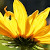 Find Kimberly L Johnson Phone Number, Location, Email, and more on Intelius