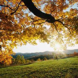 Find Kimberly W Sims Phone Number, Location, Email, and more on Intelius