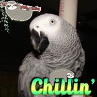 Find Kimberly S Tripp Phone Number, Location, Email, and more on Intelius