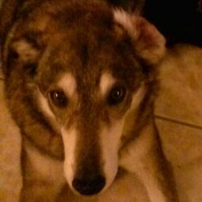 Find Kolean Marie Burke Phone Number, Location, Email, and more on Intelius