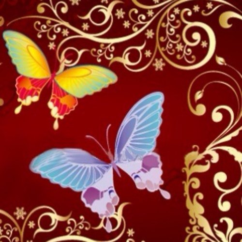 Find Kori M Williams Phone Number, Location, Email, and more on Intelius
