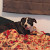 Find Kory Clyde Wall Phone Number, Location, Email, and more on Intelius