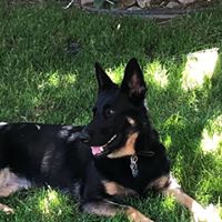 Find Kris Lee Smith Phone Number, Location, Email, and more on Intelius