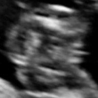 Find Kristi Anne Pace Phone Number, Location, Email, and more on Intelius