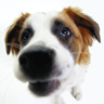 Find Kurt William Cripps Phone Number, Location, Email, and more on Intelius