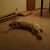 Find Larisa K Smith Phone Number, Location, Email, and more on Intelius