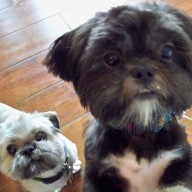 Find Larry N Conover Phone Number, Location, Email, and more on Intelius