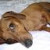 Find Larry Todd Wright Phone Number, Location, Email, and more on Intelius